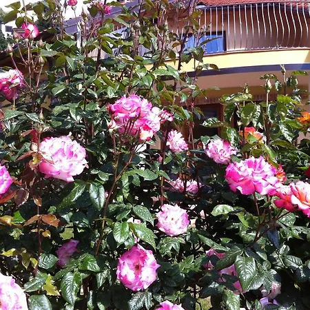 蒙蒂塞洛乡村别墅 * Monticello d'Alba