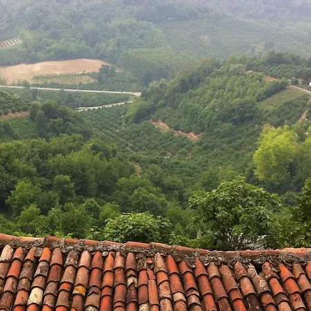 蒙蒂塞洛乡村别墅