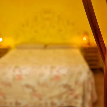 乡村民宿 蒙蒂塞洛乡村别墅